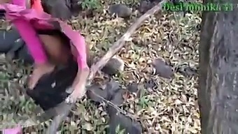 Iubita Desi Este Futută Tare În Pădure
