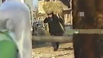 Un Cuplu Turc Se Sărută Pasional Cu Partenerul Lor Busty