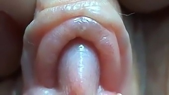 Intense Close-Up Of A Big Clit Masturbation Session