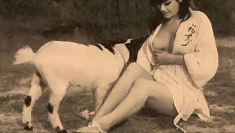 Classic Retro Video Featuring Taboo, Doggy Style, And Female Ejaculation