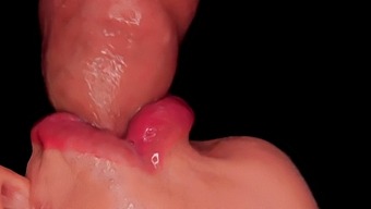 Intimate Encounter With A Skilled Blowjob Artist Delivering Intense Pleasure